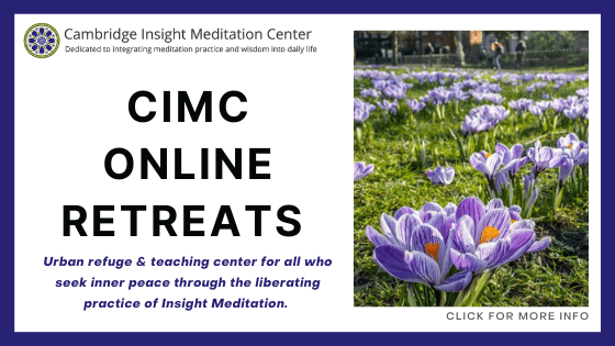 online meditation retreat - Cambridge Insight Meditation Center